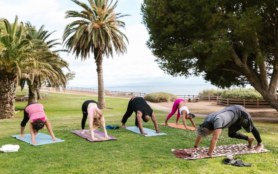 What to Expect at a Goat Yoga Session
