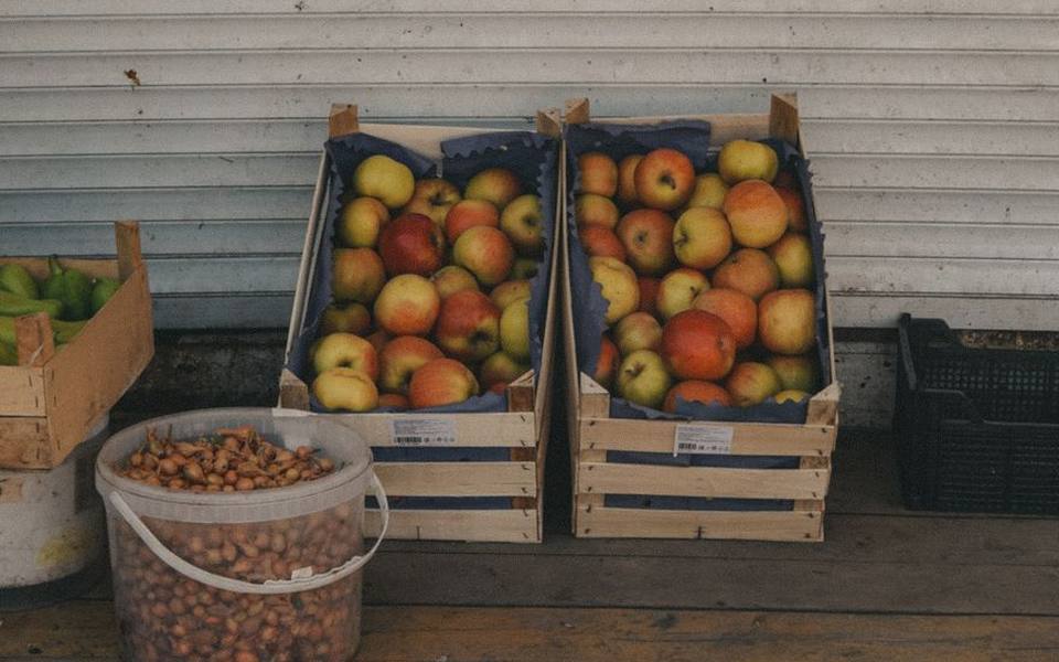 Storing and Preserving Your Fresh Orchard Harvest