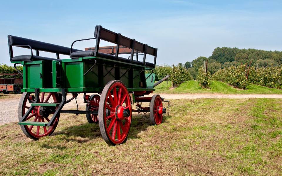 Enjoying On-Farm Amenities and Family Field Activities