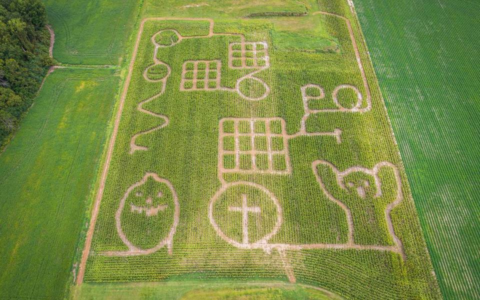 Decoding Corn Labyrinths and Field Navigation