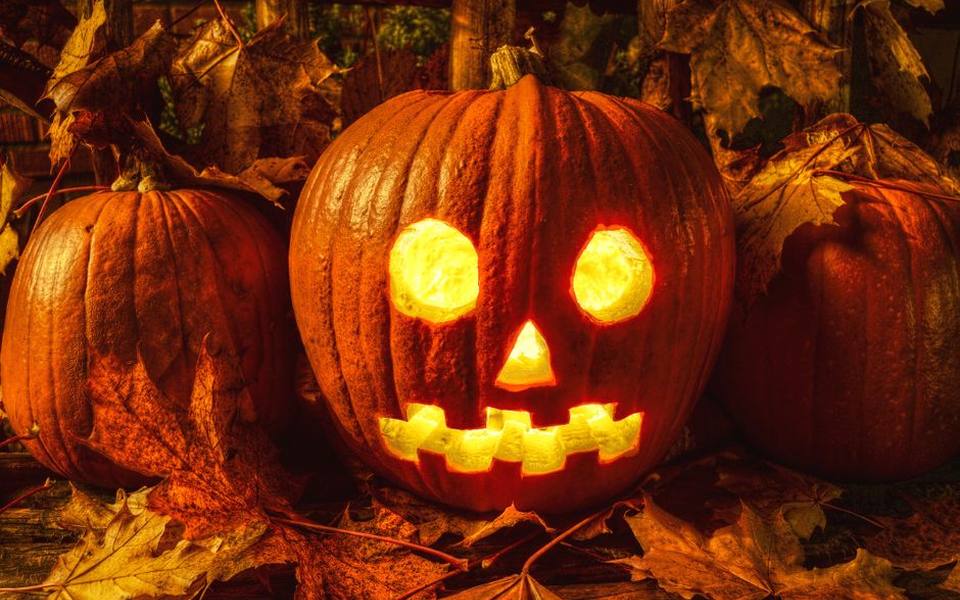 Pumpkin Carving Craftsmanship: From Cute Faces to 3D Sculptures