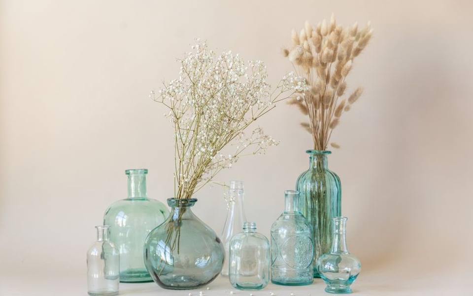 Post-Harvest Care and Prolonging Vase Longevity