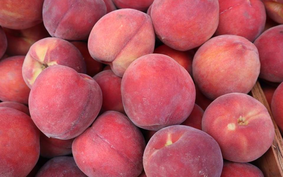 Understanding clingstone, freestone, and semi-cling varieties