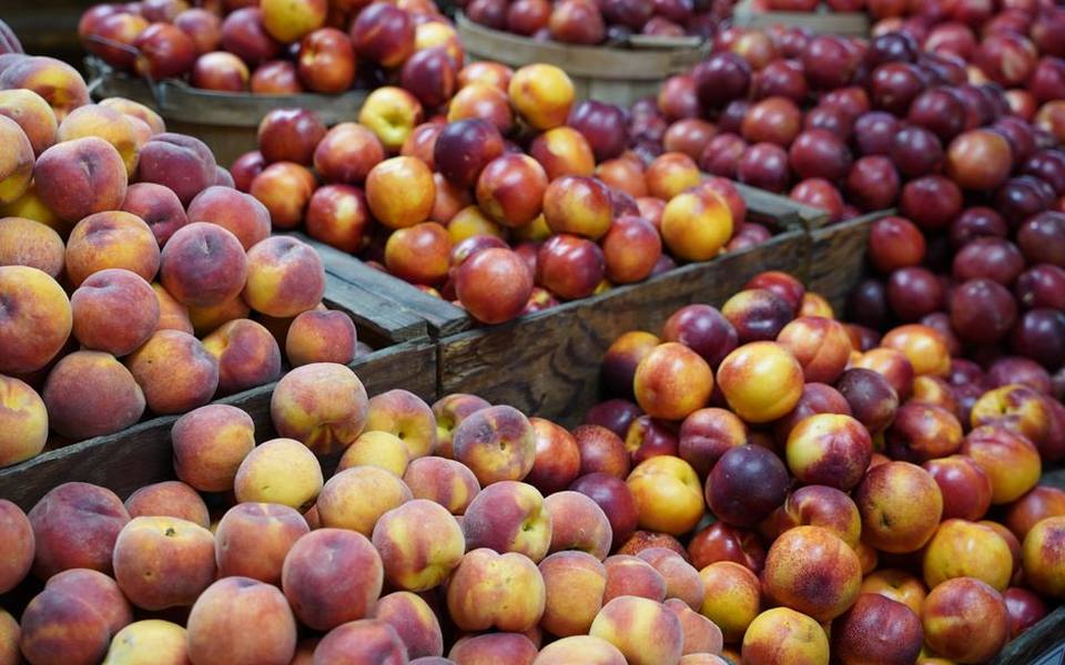 Counter ripening and post-harvest storage