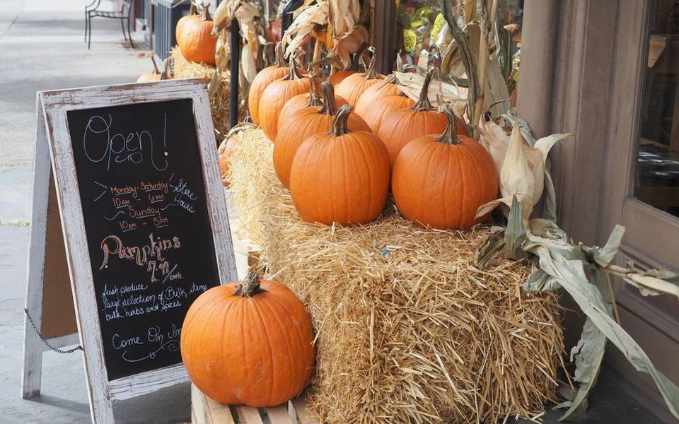 When Farm Gates Open for the Autumn Season