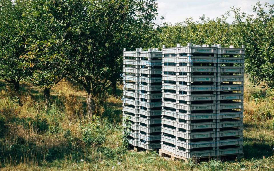 Packing Essentials and Field Etiquette for Orchards