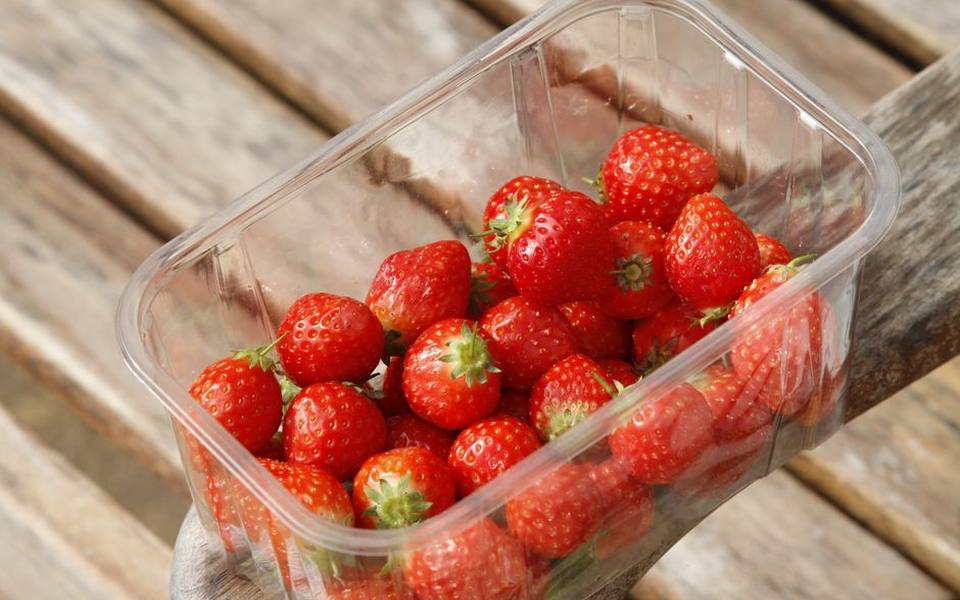 Transporting and Preserving Your Fresh Harvest
