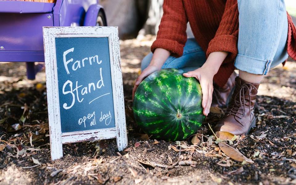Combining Market Outings with Farmstead Activities
